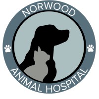 Norwood Animal Hospital logo, Norwood Animal Hospital contact details