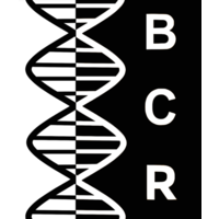 Burlingame Cancer Research logo, Burlingame Cancer Research contact details