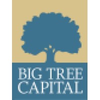 Big Tree Capital LLC logo, Big Tree Capital LLC contact details