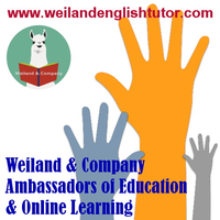 Weiland and Company LLC logo, Weiland and Company LLC contact details