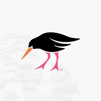 Oystercatchers NZ logo, Oystercatchers NZ contact details