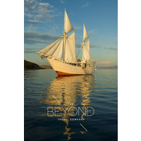 The Beyond Travel Company logo, The Beyond Travel Company contact details