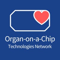 Organ-on-a-chip Technologies Network logo, Organ-on-a-chip Technologies Network contact details