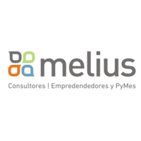 Melius | Consultores de Emprendedores y Pymes logo, Melius | Consultores de Emprendedores y Pymes contact details