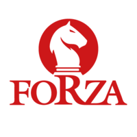 Forza LT Consulting logo, Forza LT Consulting contact details