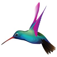 Hummingbird ME logo, Hummingbird ME contact details