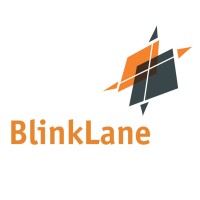 BlinkLane Consulting logo, BlinkLane Consulting contact details