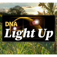 DNA Light Up logo, DNA Light Up contact details