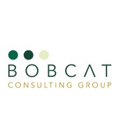 Bobcat Consulting Group logo, Bobcat Consulting Group contact details