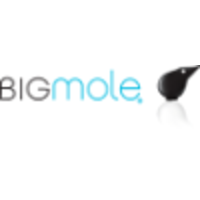 Bigmole logo, Bigmole contact details