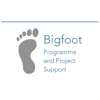 BIGFOOT PROGRAMME AND PROJECT SUPPORT LIMITED logo, BIGFOOT PROGRAMME AND PROJECT SUPPORT LIMITED contact details