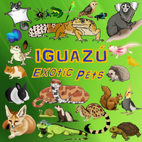 Iguazú Exotic Pets logo, Iguazú Exotic Pets contact details