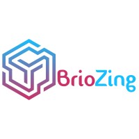 BrioZing Technologies Pvt. Ltd logo, BrioZing Technologies Pvt. Ltd contact details