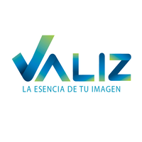 VALIZ logo, VALIZ contact details