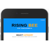 RisingBee Info Consultants Pvt Ltd logo, RisingBee Info Consultants Pvt Ltd contact details