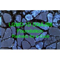 LGMD-1D DNAJB6 Foundation and Registry logo, LGMD-1D DNAJB6 Foundation and Registry contact details