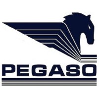 Pegaso Logística Comércio e Serviços EIRELI logo, Pegaso Logística Comércio e Serviços EIRELI contact details