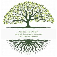 CMW NP Consulting logo, CMW NP Consulting contact details