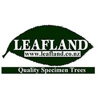 Leafland - Quality Specimen Trees logo, Leafland - Quality Specimen Trees contact details