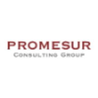 Promesur Consulting Group - Oficina Paraguay logo, Promesur Consulting Group - Oficina Paraguay contact details