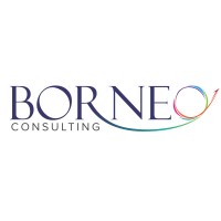 The BORNEO Consulting Co., Ltd. logo, The BORNEO Consulting Co., Ltd. contact details