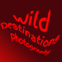 Wild Destinations Photography logo, Wild Destinations Photography contact details