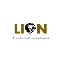 LION Eye Group logo, LION Eye Group contact details