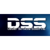 Dealer Services South, Inc logo, Dealer Services South, Inc contact details