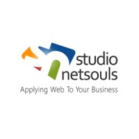 studio NetSouls logo, studio NetSouls contact details