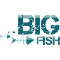 Big Fish Squad logo, Big Fish Squad contact details