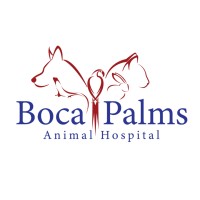 Boca Palms Animal Hospital logo, Boca Palms Animal Hospital contact details