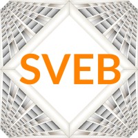 SVEB - Société de Veille, Etudes et Benchmarks logo, SVEB - Société de Veille, Etudes et Benchmarks contact details