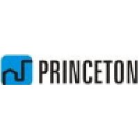 Princeton Infrastructure Private Limited logo, Princeton Infrastructure Private Limited contact details