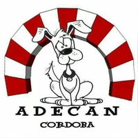 Adecan logo, Adecan contact details