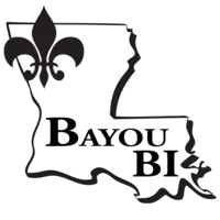 Bayou BI, LLC logo, Bayou BI, LLC contact details