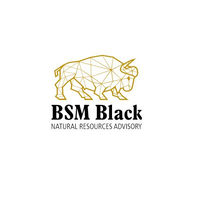 BSM Black - Natural Resources Advisory logo, BSM Black - Natural Resources Advisory contact details