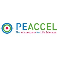 PEACCEL logo, PEACCEL contact details