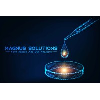 Magnus Solutions- Clean room Consulting logo, Magnus Solutions- Clean room Consulting contact details