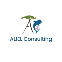 ALIEL Consulting logo, ALIEL Consulting contact details