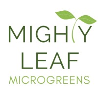 Mighty Leaf Microgreens logo, Mighty Leaf Microgreens contact details