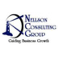 Nellson Consulting Group logo, Nellson Consulting Group contact details