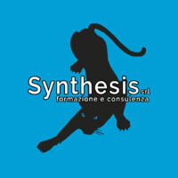 Synthesis srl logo, Synthesis srl contact details