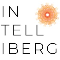 Intelliberg Associates logo, Intelliberg Associates contact details