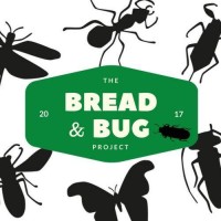 Projeto Bread&Bug logo, Projeto Bread&Bug contact details