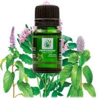 Organic Essential Oils logo, Organic Essential Oils contact details