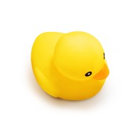 LuckyDucky.Agency logo, LuckyDucky.Agency contact details