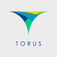 Torus Innovations logo, Torus Innovations contact details