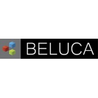 Beluca LLC logo, Beluca LLC contact details