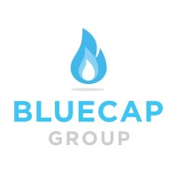 Bluecap Group (Pty) Ltd logo, Bluecap Group (Pty) Ltd contact details