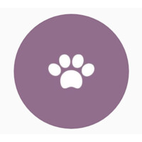 Miss Tori Dog Walking logo, Miss Tori Dog Walking contact details